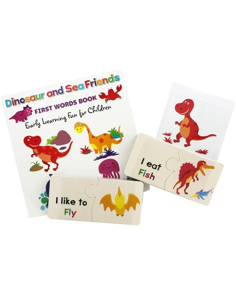 Set de aprendizaje de tarjetas flash de dinosaurios y amigos
