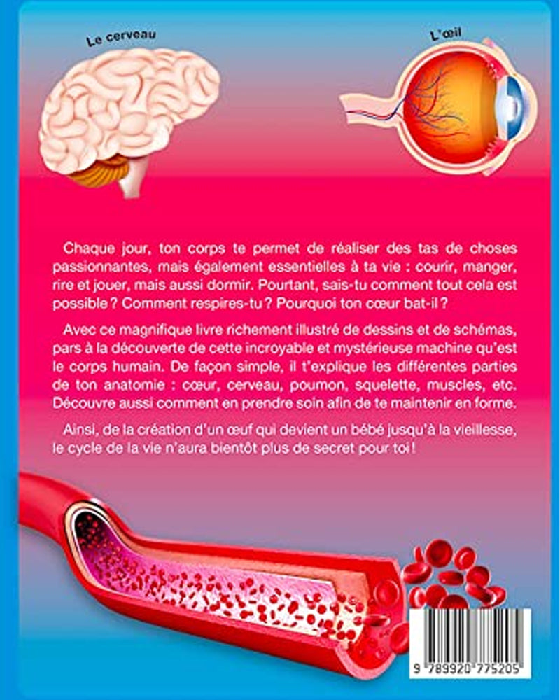 جسم الإنسان