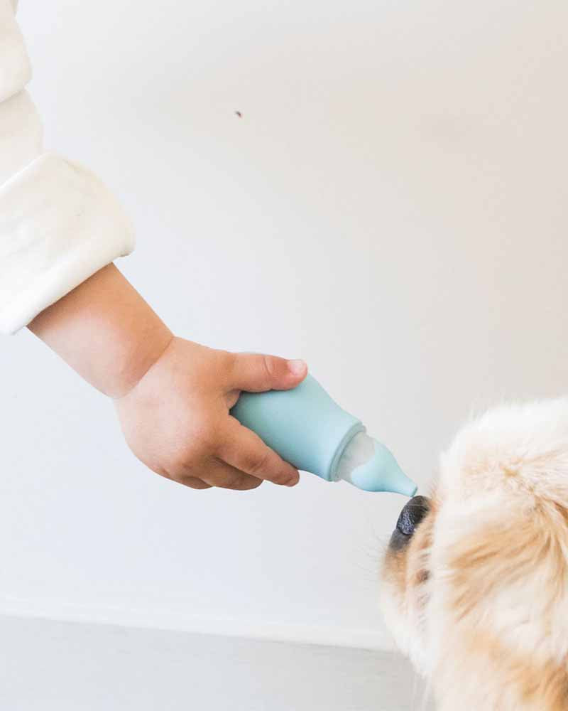 Set mouche bébé Nûby et poire auriculaire 0m+