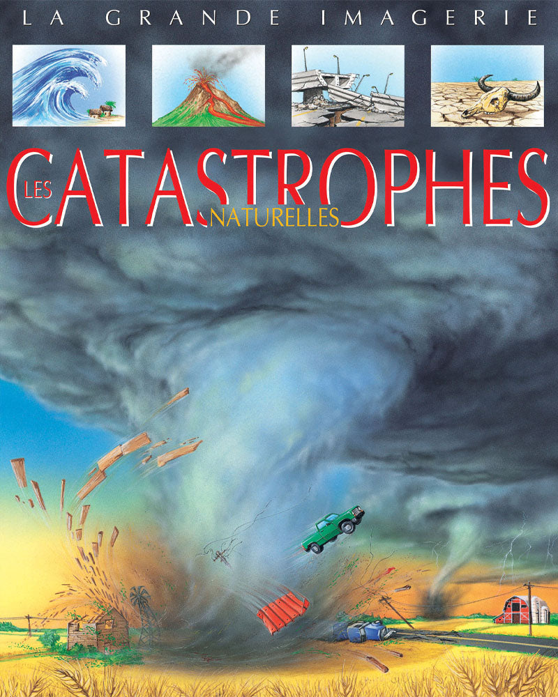 The Big Imagery - Disasters
