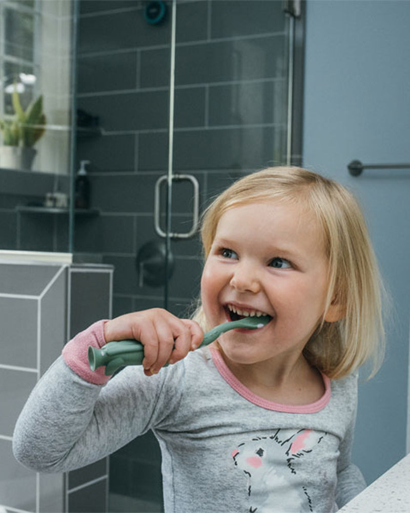 Dr. Brown's Toothbrush 1-4A - Dinosaur
