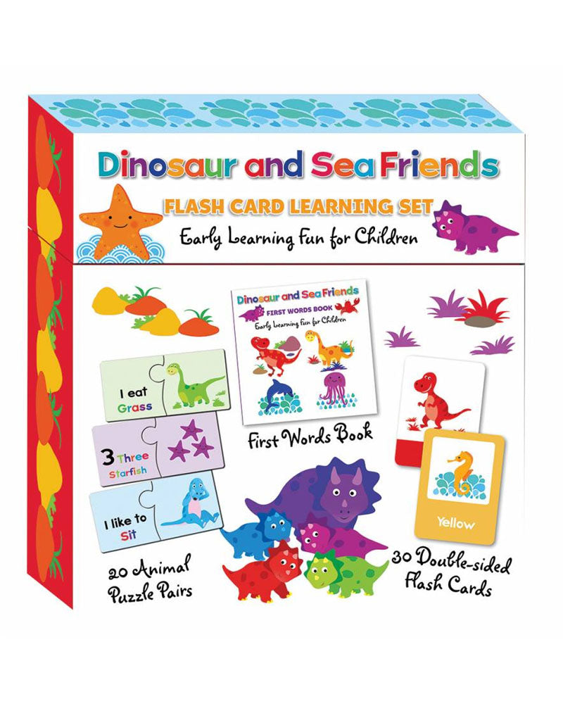 Set de aprendizaje de tarjetas flash de dinosaurios y amigos