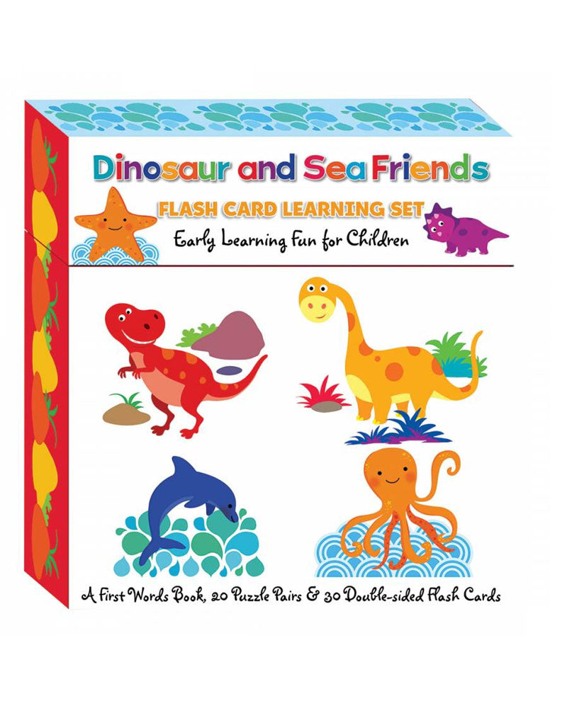 Set de aprendizaje de tarjetas flash de dinosaurios y amigos