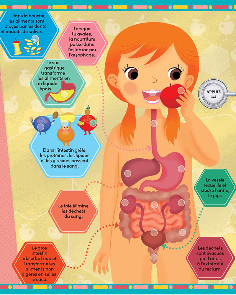 Mon livre sonore - Le Corps Humain