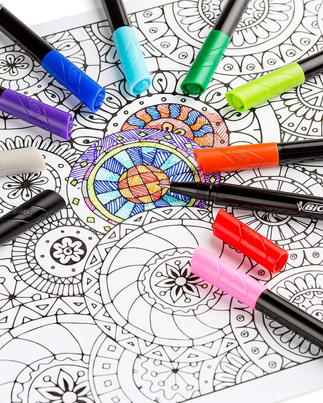 Delineadores de intensidad Bic