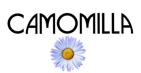 Camomilla Blu