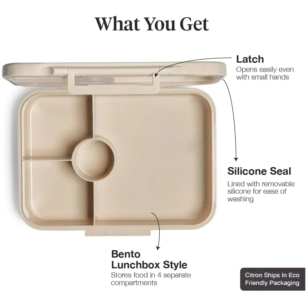 Citron Lunch Box Tritan 4 Compartiments – Ballerina
