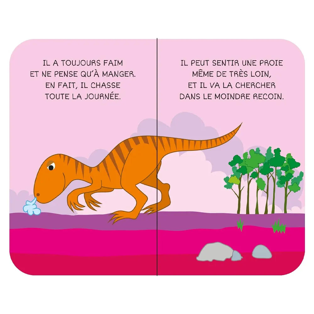 Ma Petite Bibliothèque – Les Dinosaures