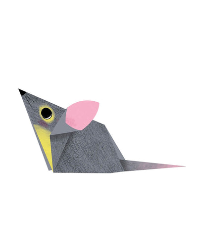 Eurekakids Origami Animaux de La Forêt - 6A+