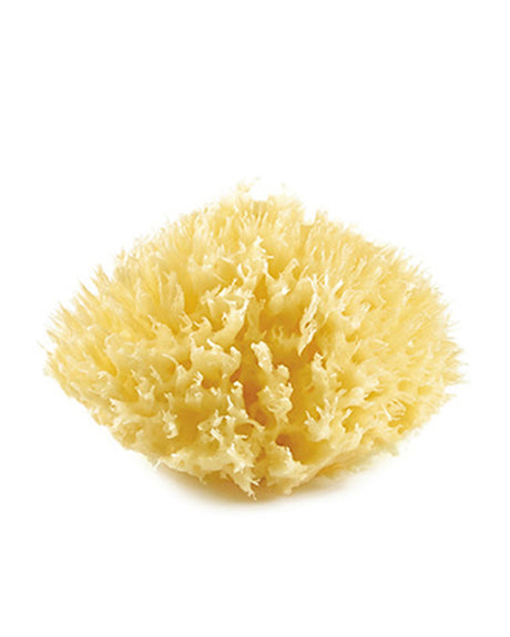 Thermobaby Eponge de Mer Honeycomb