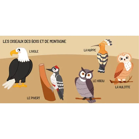 Apprends Les Noms Des Oiseaux