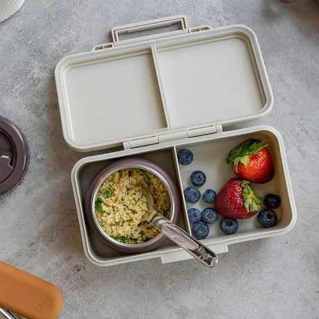 Citron Lunch Box Rectangulaire – Vehicles