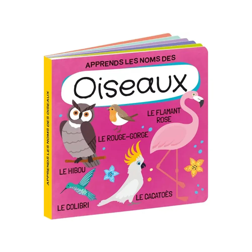 Apprends Les Noms Des Oiseaux