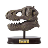 Buki Museum Skull T-rex 8A+