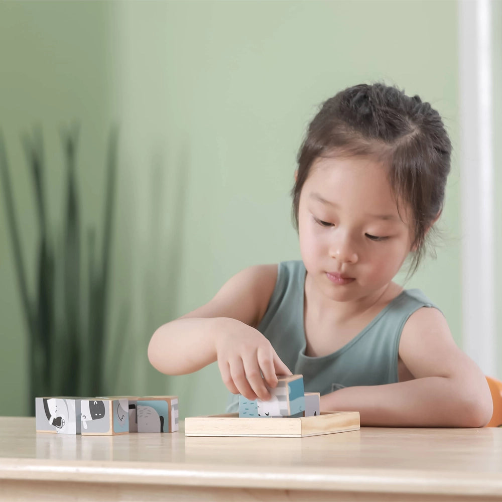 Viga Toys PolarB Blocs de Puzzle à 6 Faces 24M+