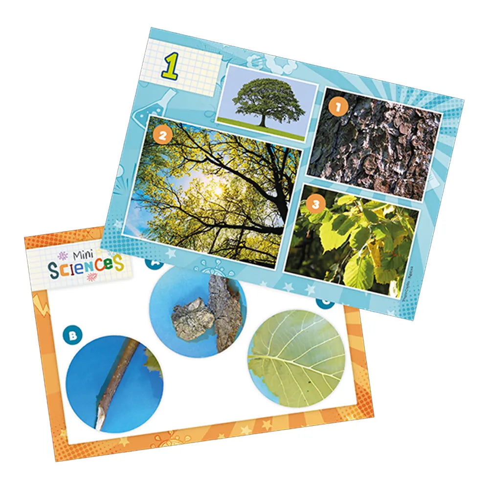 Buki Mini Sciences Microscope avec 10 Expériences - 4A+