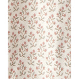 Lot de 3 bodys en coton bio bébé fille