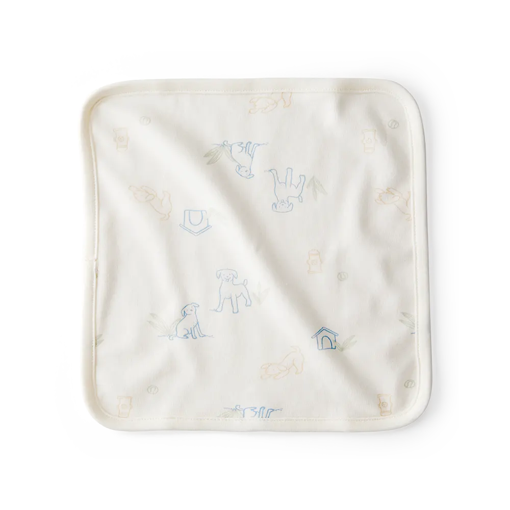 Lot de 6 débarbouillettes bébé garçon - Bleu