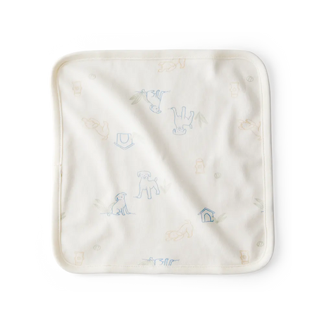 Lot de 6 débarbouillettes bébé garçon - Bleu