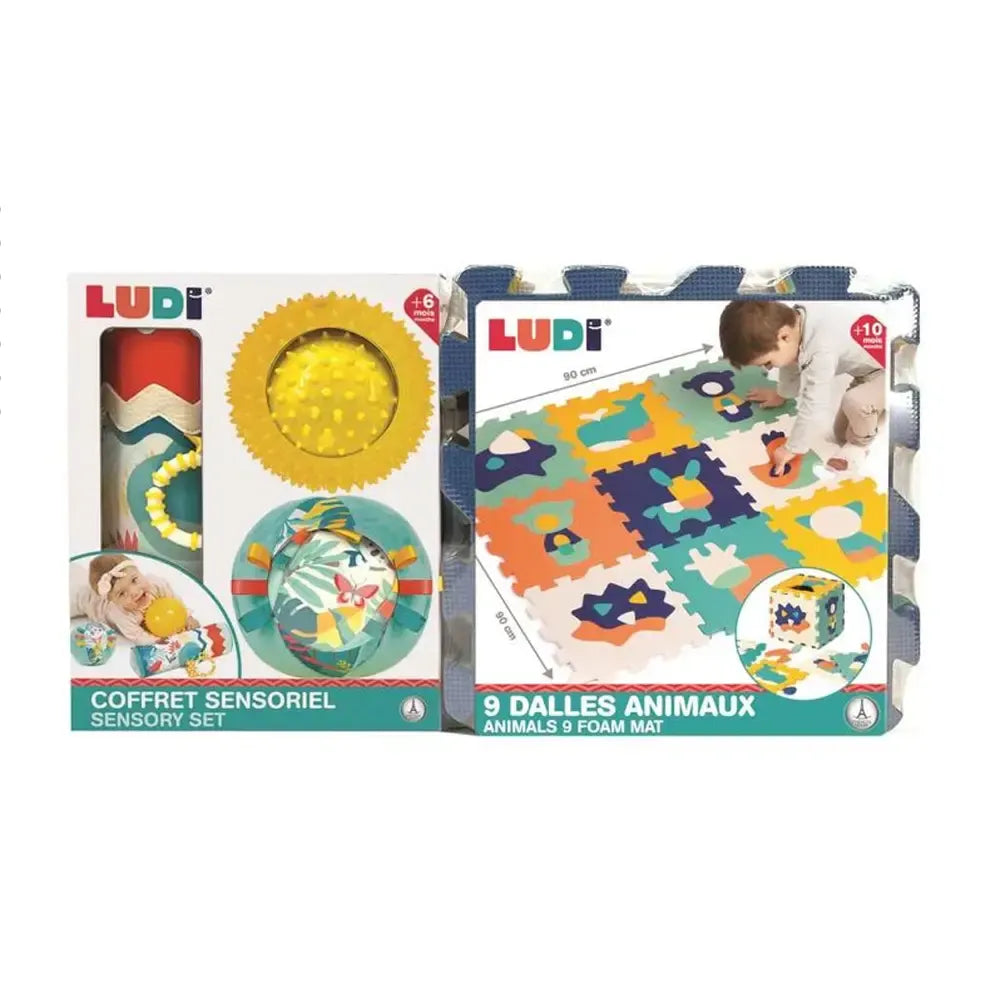 Ludi Sensory Box - Animal Tiles Mat with Roller & Balls