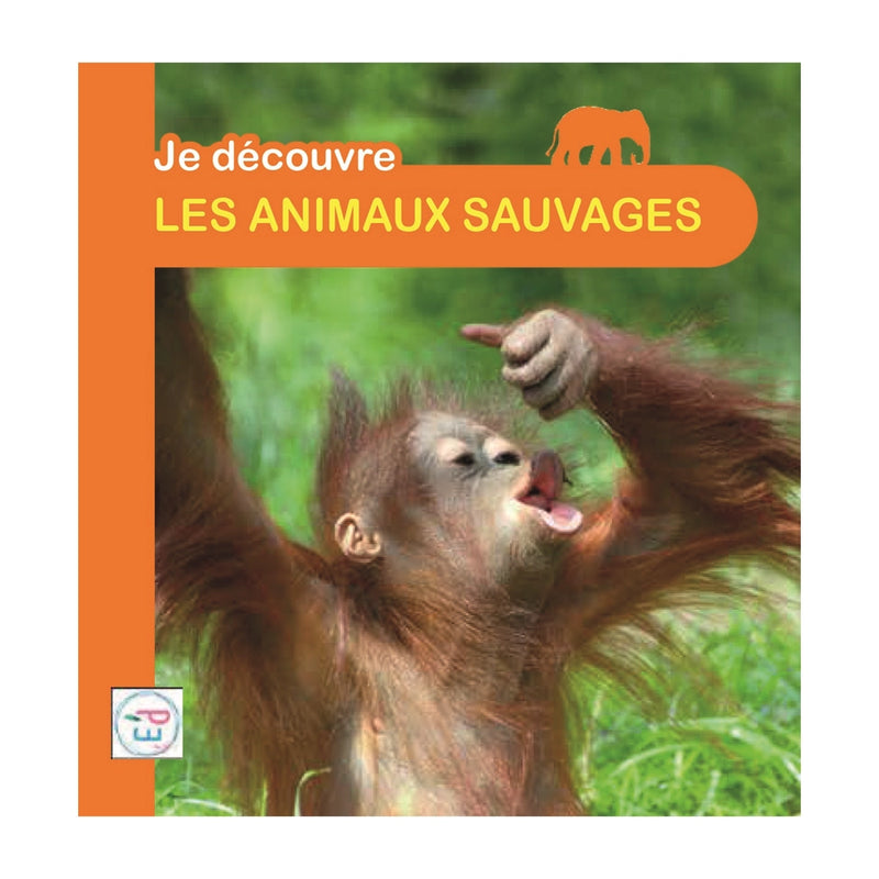 I Discover - Wild Animals