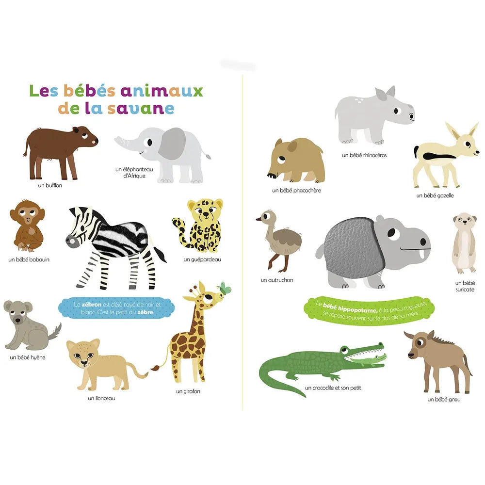 Mes Premiers Bébés Animaux À Toucher