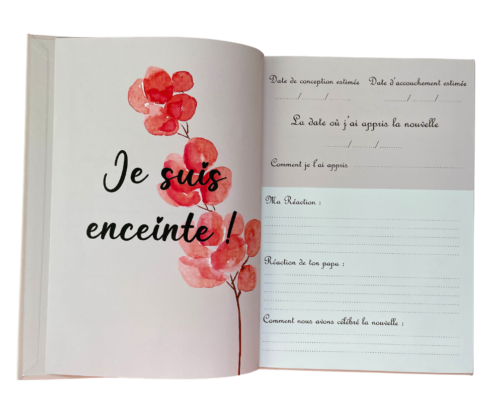 Mon journal de grossesse