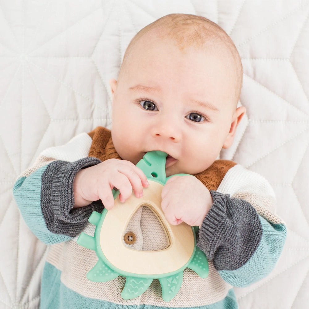 Hape Anneau de dentition Hérisson 0-18M