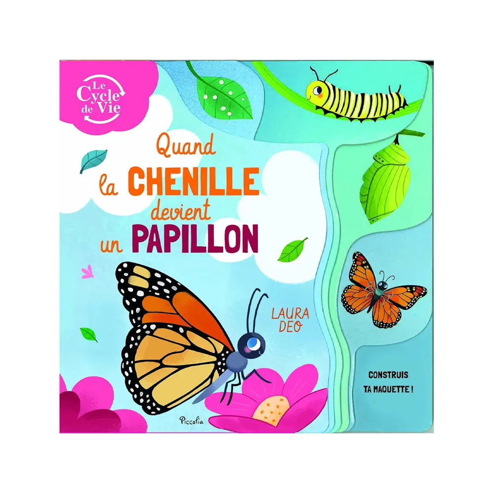 Butterflies – When the Caterpillar Becomes a Butterfly
