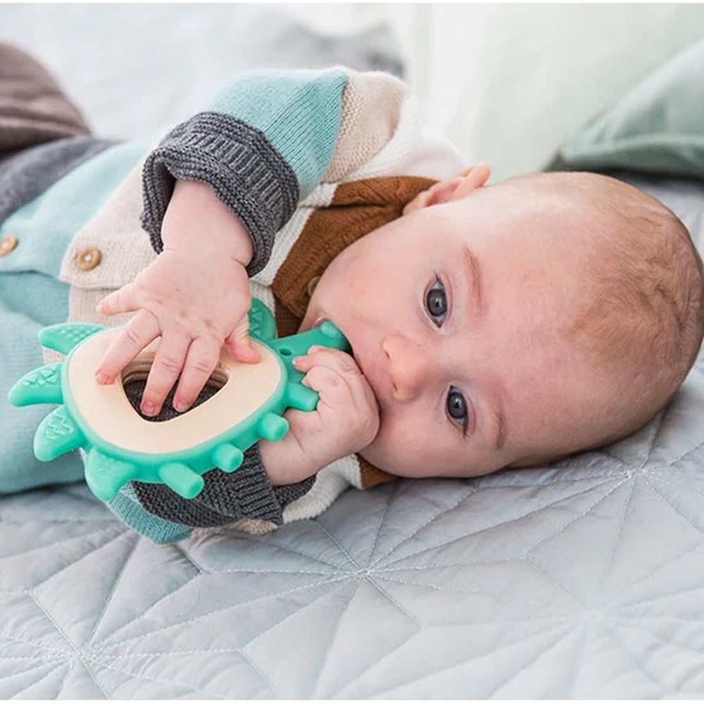 Hape Anneau de dentition Hérisson 0-18M