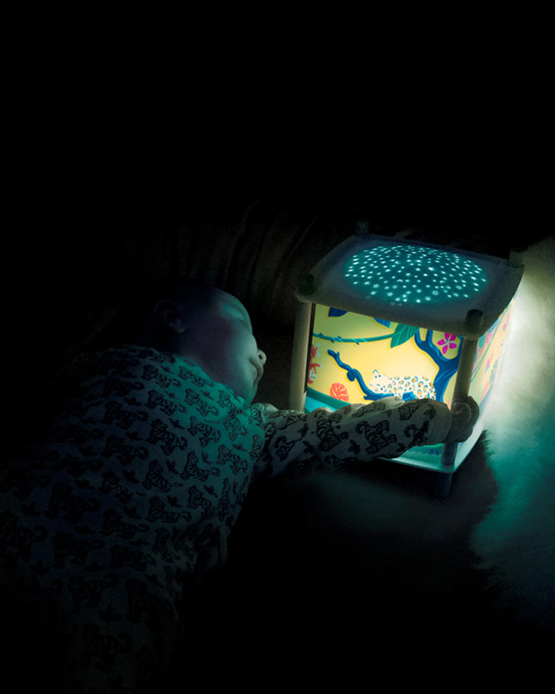 Trousselier Lanterne Révolution Savane