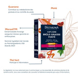 Dietaroma Cap Ligne Brûle Graisse Forte 20 Ampoules x 10ml
