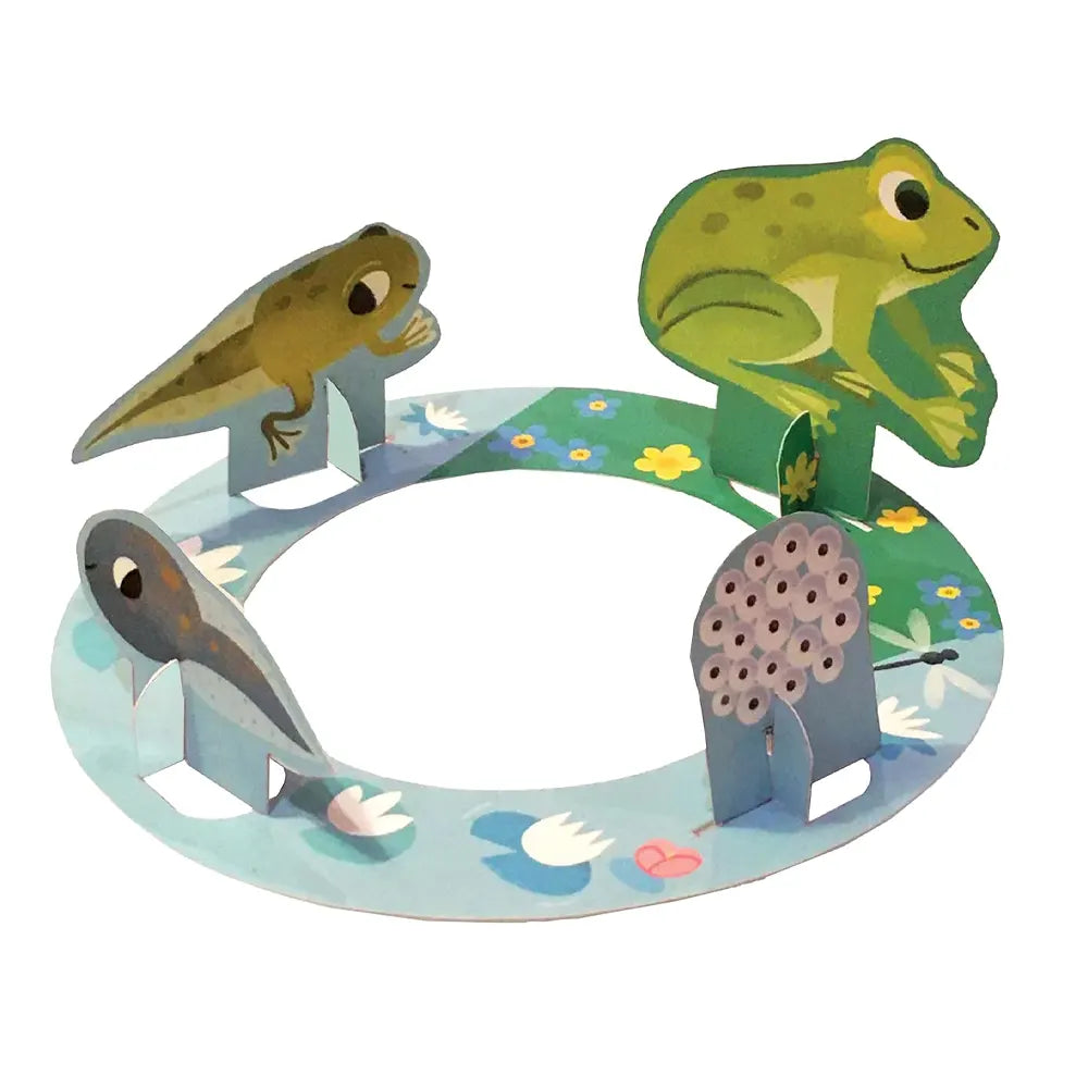 When the Tadpole Becomes a Frog