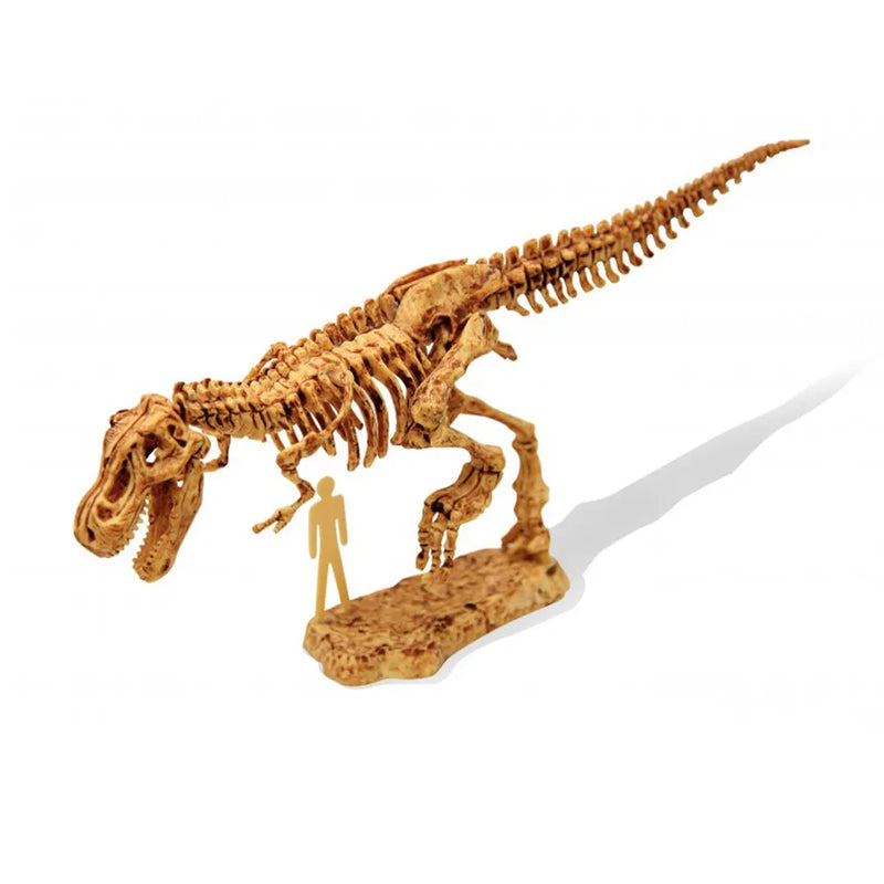 Buki Kit de Fouille Tyrannosaurus 8A+