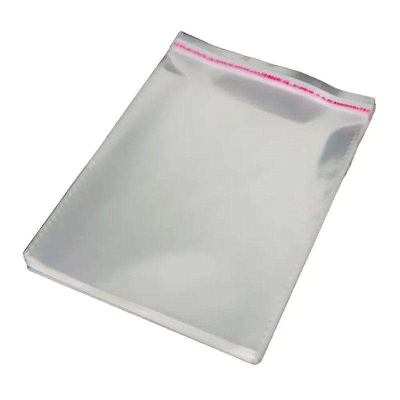 Lot de 100 Sachets Transparents 22x14 cm