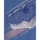 Carter's Boy's 4-Piece Cotton Pajama Set - Dinosaur