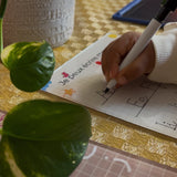 O Rayon des Kids Box Écriture en Langue Arabe & Français