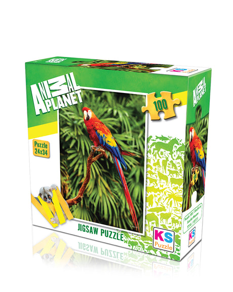 KS Child Puzzle 100 - Scarlet Macaw