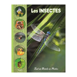 Insects – A Whole World in Photos