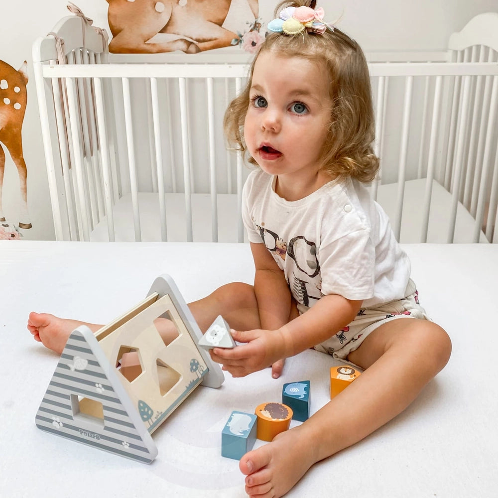 Viga Toys PolarB Trieur de Formes 24M+