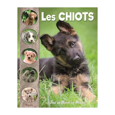 Los Cachorros – Todo un Mundo en Fotos