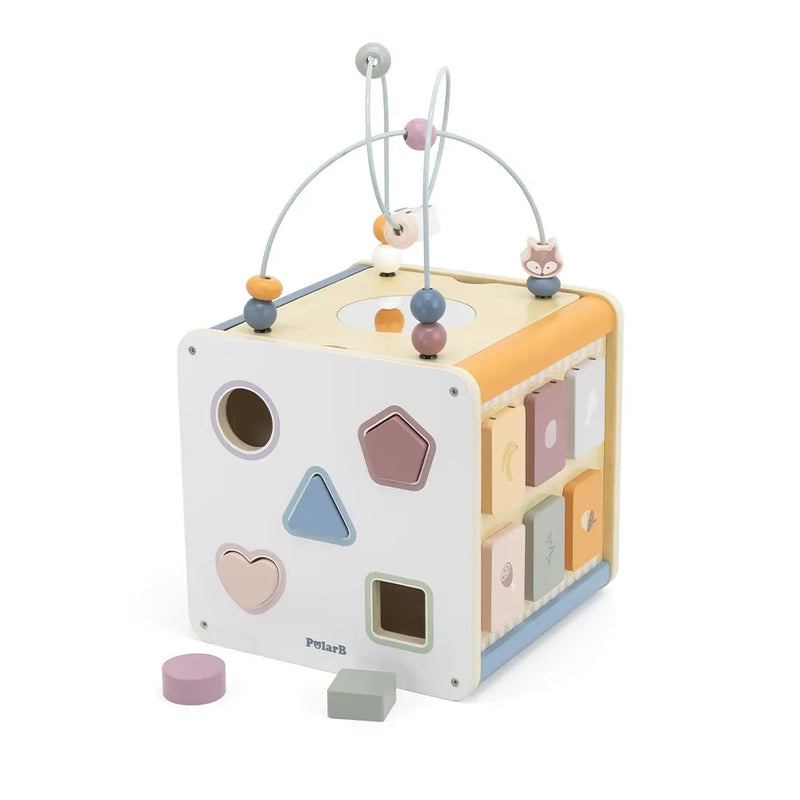 Viga Toys PolarB Cube Multiactivité 8en1 - 18M+