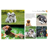 الجراء – عالم كامل في صور