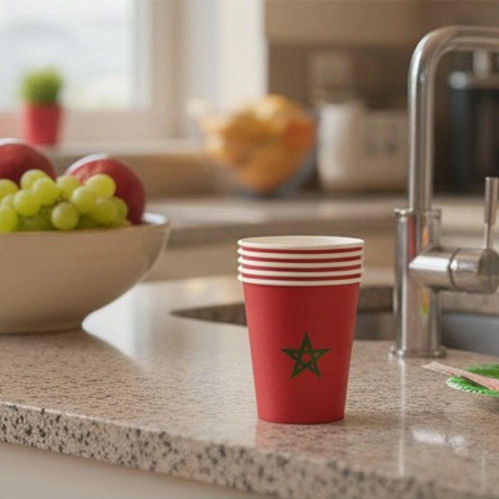 Lote de 10 Vasos – Bandera de Marruecos