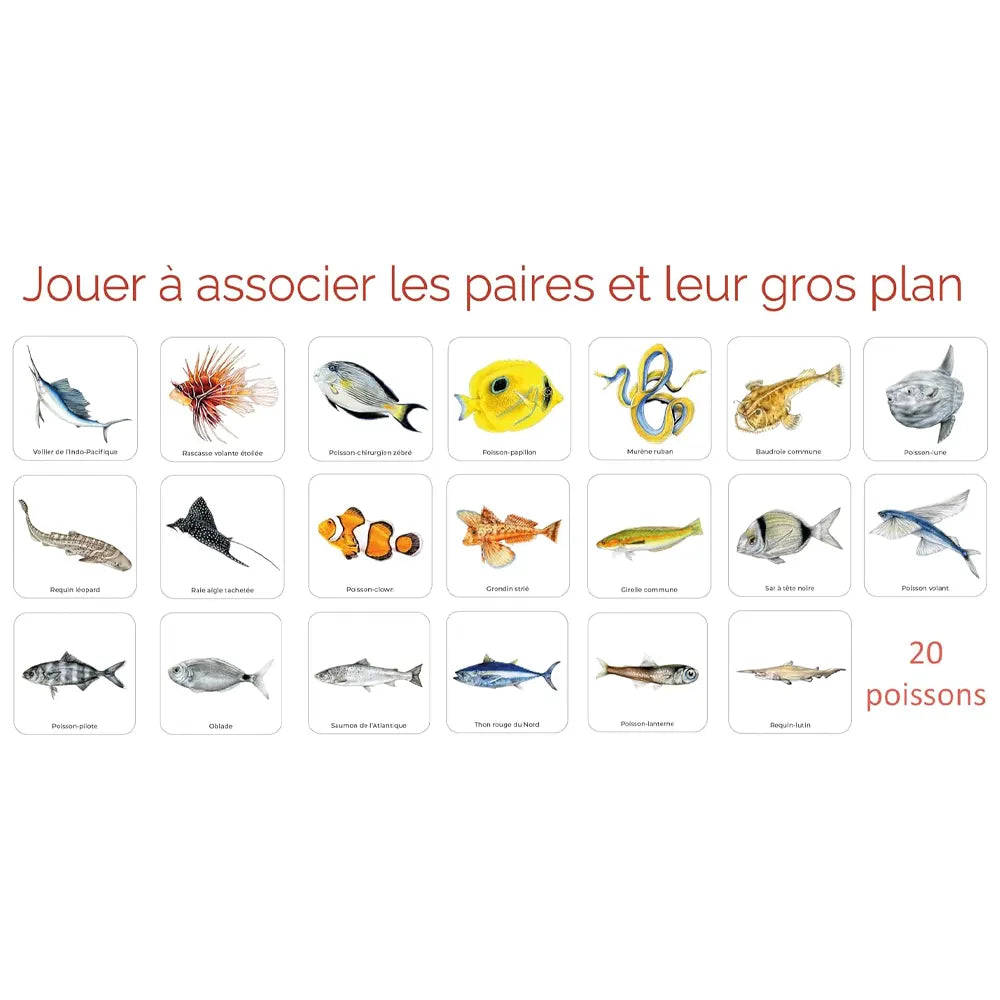 Mémo des Poissons – Jeu de Mémoire Éducatif - 3A+