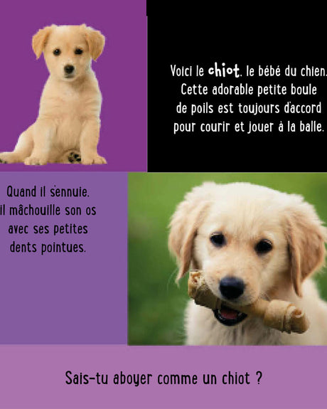 Mon Premier Livre Sonore à Toucher - Les bébés Animaux