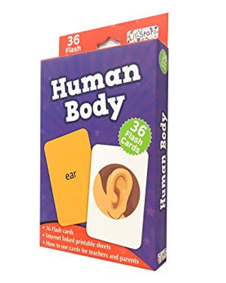 Human Body - Flash Cards