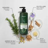 Moroccan Beauty Natural Anti-Hair Loss & Regrowth Duo – Shampoo 300ml & Lotion 100ml