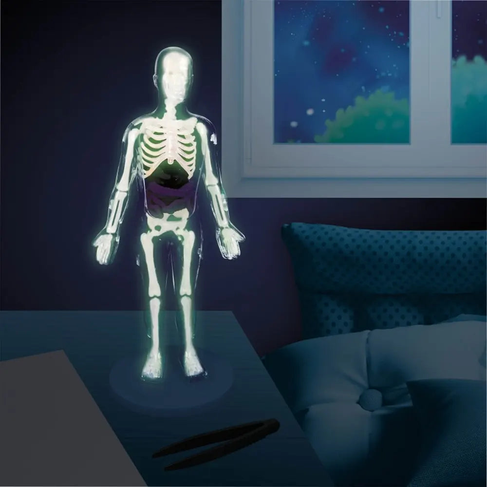 Buki Cuerpo Humano – 8A+
