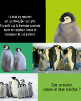 Mi primer libro sonoro al tacto - Animales bebés